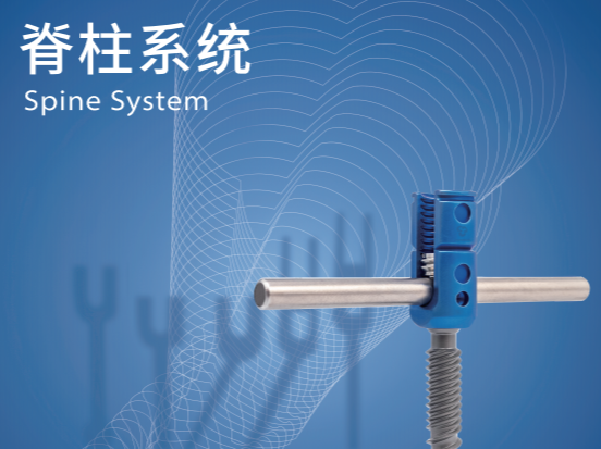 脊柱系統(tǒng)宣傳彩頁(yè)