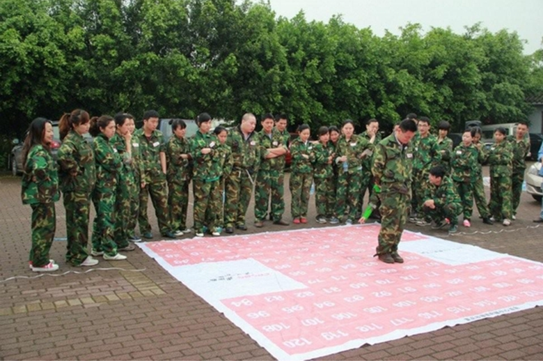 公司組織員工素質拓展活動